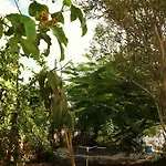 Encantadora Casita Con Molino Y Piscina Holiday home Antigua (Fuerteventura)